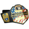 OFFICIAL WWE AUTHENTIC UNITED STATES CHAMPIONSHIP REPLICA TITLE BELT (2014)