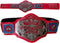 NWA TELEVISION TV HEAVYWEIGHT CHAMPIONSHIP TITLE BELT REAL LEATHER ADULT SIZE