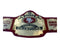 SUPER BOWL SF CHAMPIONSHIP 49ERS REPLICA TITLE ADULT SIZE 2MM BRASS PLATED BELT