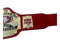 SUPER BOWL SF CHAMPIONSHIP 49ERS REPLICA TITLE ADULT SIZE 2MM BRASS PLATED BELT